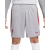 Nike Liverpool FC Strike Short Men