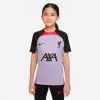 Nike Liverpool Strike Away Shirt Junior