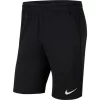 Nike Park20 Knit Short